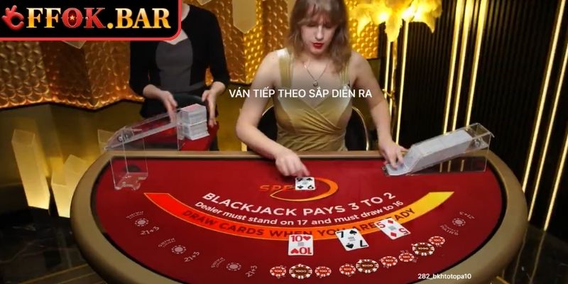 Lựa chọn nhà cái