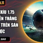 kèo tài xỉu 1.75 FFOK